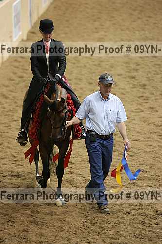 Proof 09yn-11917