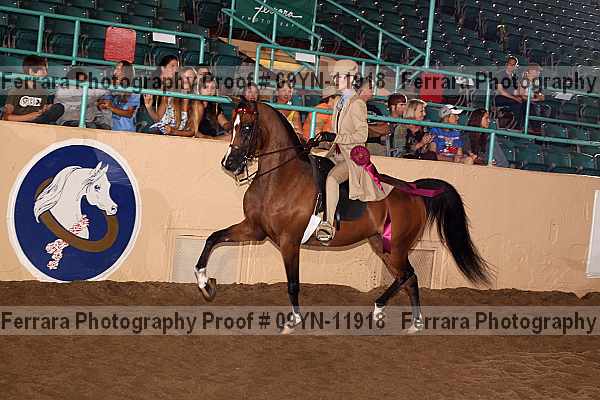 Proof 09yn-11918