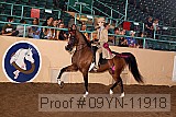 09yn-11918 proof