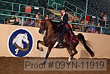 09yn-11919 proof