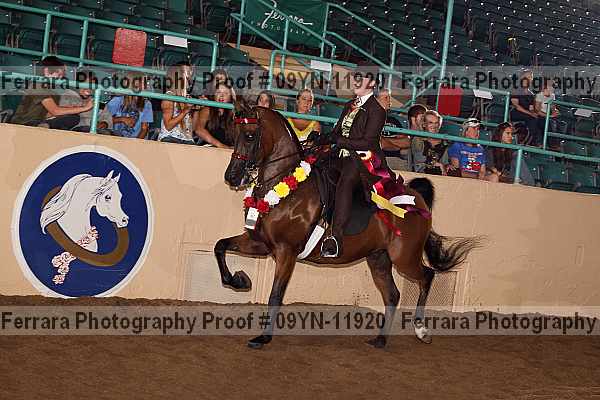 Proof 09yn-11920