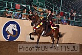09yn-11920 proof