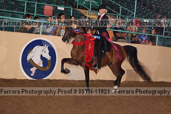 Proof 09yn-11921