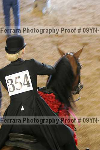 Proof 09yn-11923