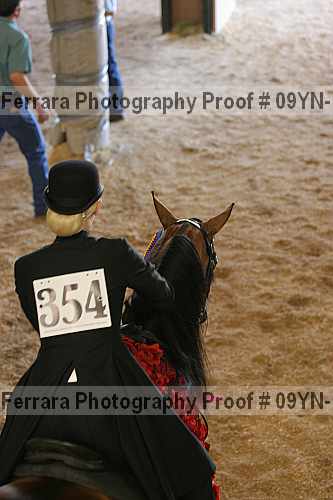 Proof 09yn-11924