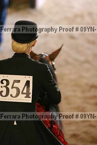 Proof 09yn-11925