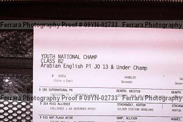 Proof 09yn-02733