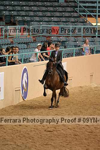 Proof 09yn-02737