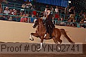 09yn-02741 proof