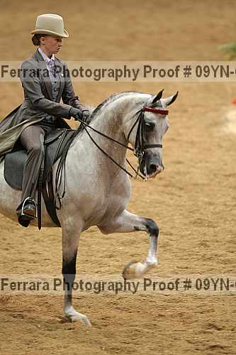 Proof 09yn-02750
