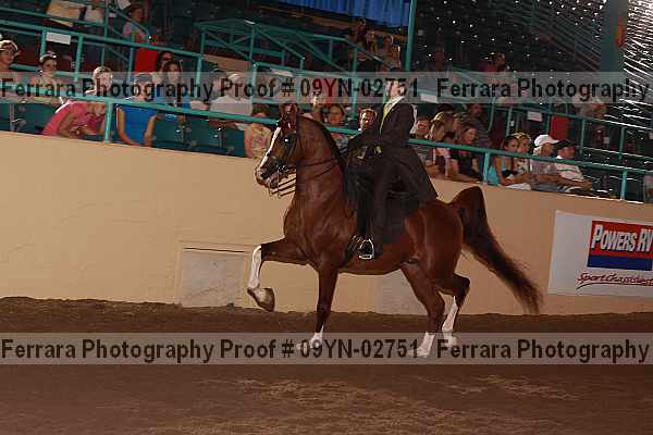 Proof 09yn-02751