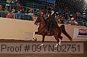 09yn-02751 proof