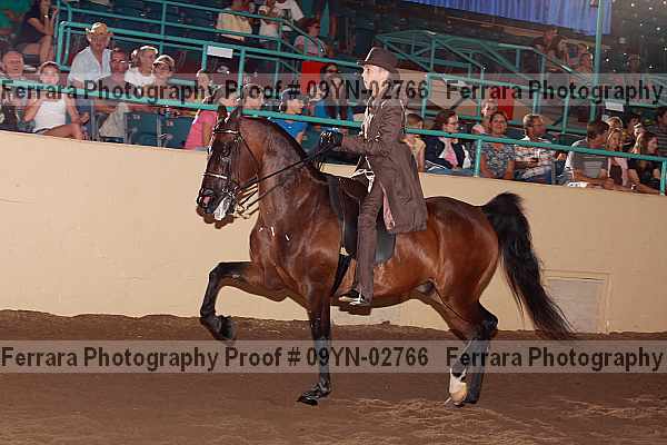 Proof 09yn-02766