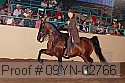 09yn-02766 proof