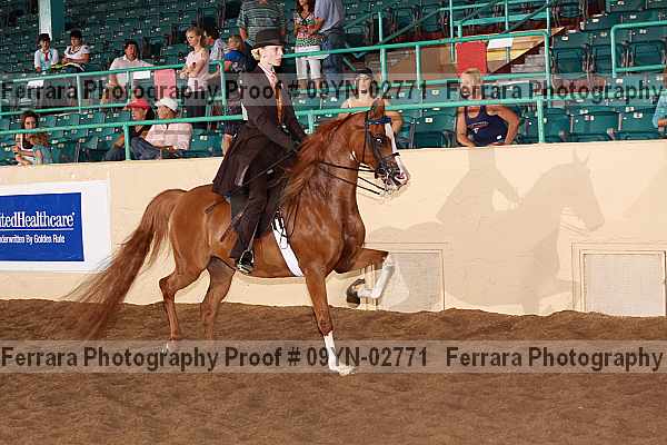 Proof 09yn-02771