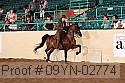 09yn-02774 proof