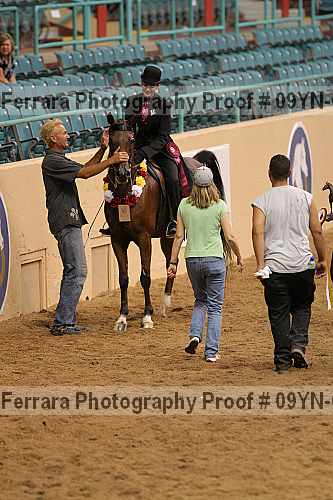 Proof 09yn-02780