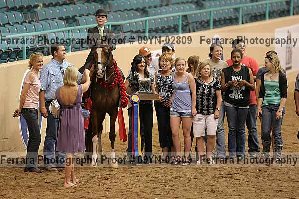 Proof 09yn-02809