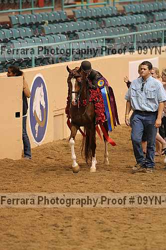 Proof 09yn-02818