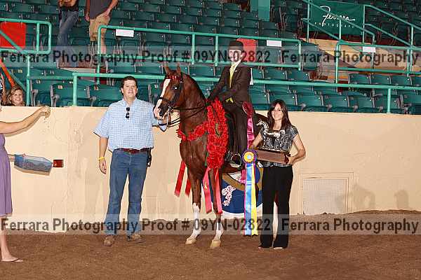 Proof 09yn-02822