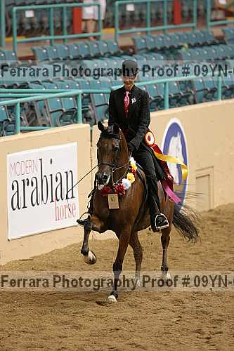Proof 09yn-02830