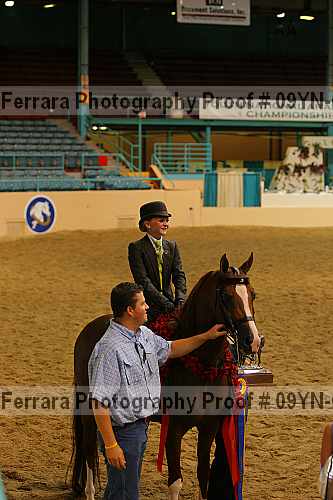 Proof 09yn-02837