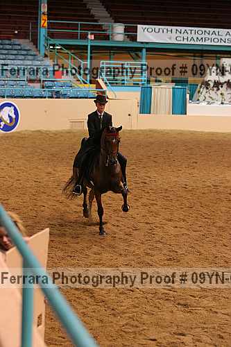 Proof 09yn-02853