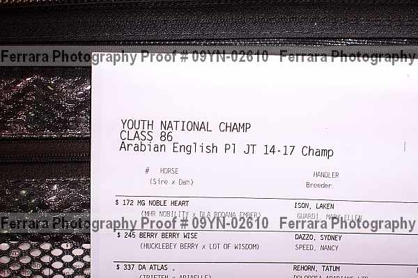 Proof 09yn-02610