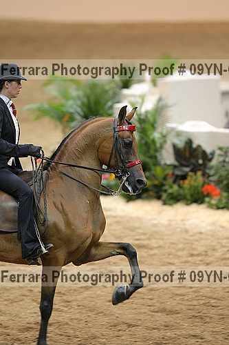 Proof 09yn-02614