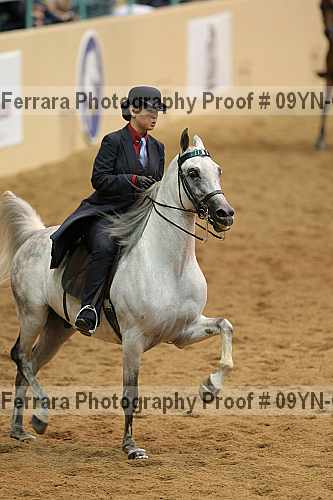 Proof 09yn-02615