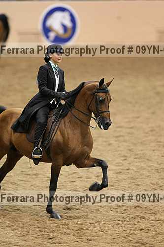 Proof 09yn-02616