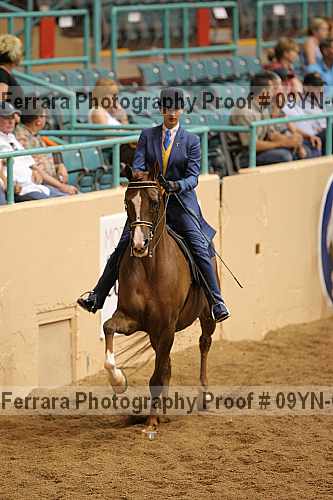 Proof 09yn-02619