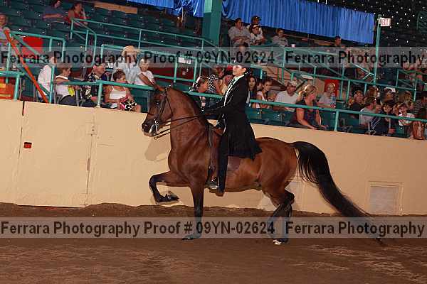 Proof 09yn-02624