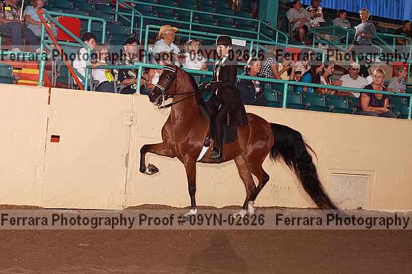 Proof 09yn-02626