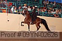 09yn-02626 proof