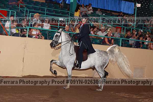 Proof 09yn-02630