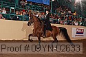 09yn-02633 proof