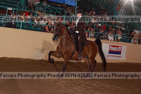 Proof 09yn-02635