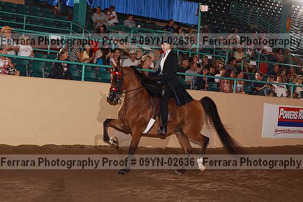 Proof 09yn-02636