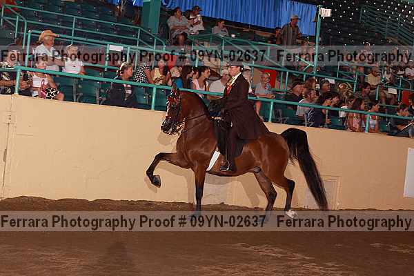 Proof 09yn-02637