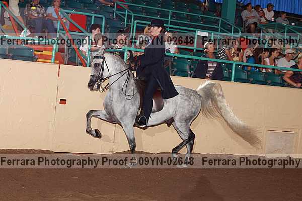 Proof 09yn-02648
