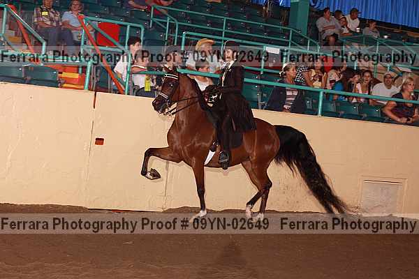 Proof 09yn-02649
