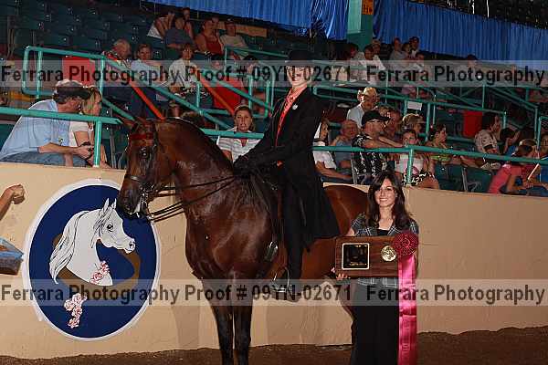 Proof 09yn-02671