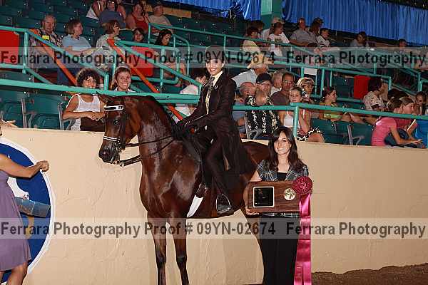 Proof 09yn-02674