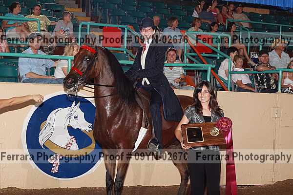 Proof 09yn-02676