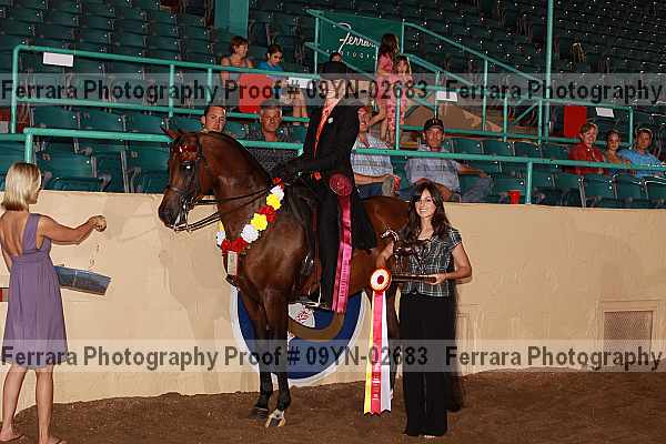 Proof 09yn-02683
