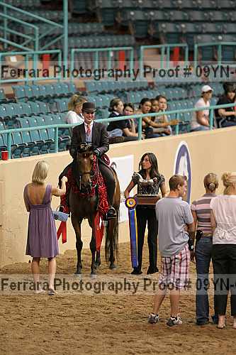 Proof 09yn-02687