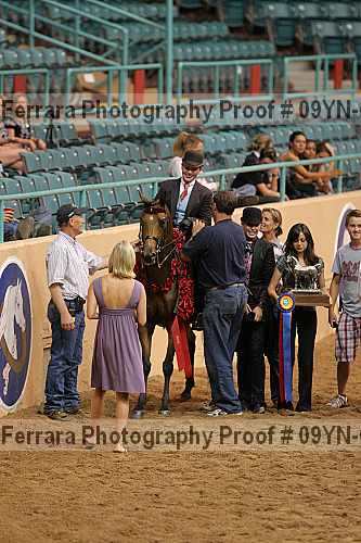 Proof 09yn-02691