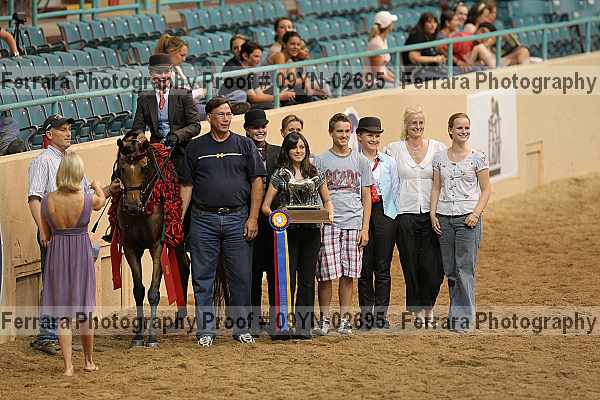 Proof 09yn-02695