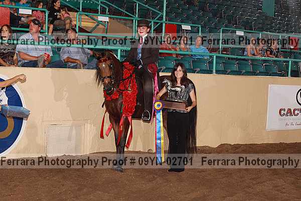 Proof 09yn-02701